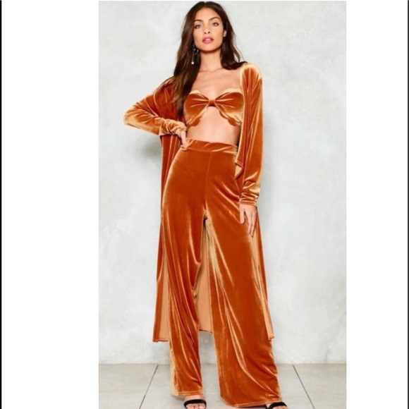 Nasty Gal Pants - Nasty Gal pants only SZ. M Velvet wide leg burnout